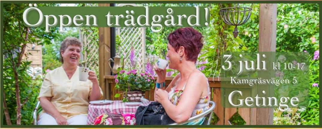 Öppen trädgård hos fotograf Maria Berg