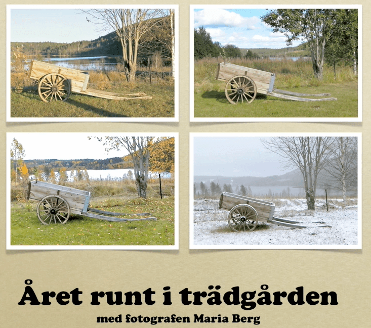 Året runt i vår tama trädgård, fotograf Maria Berg.png