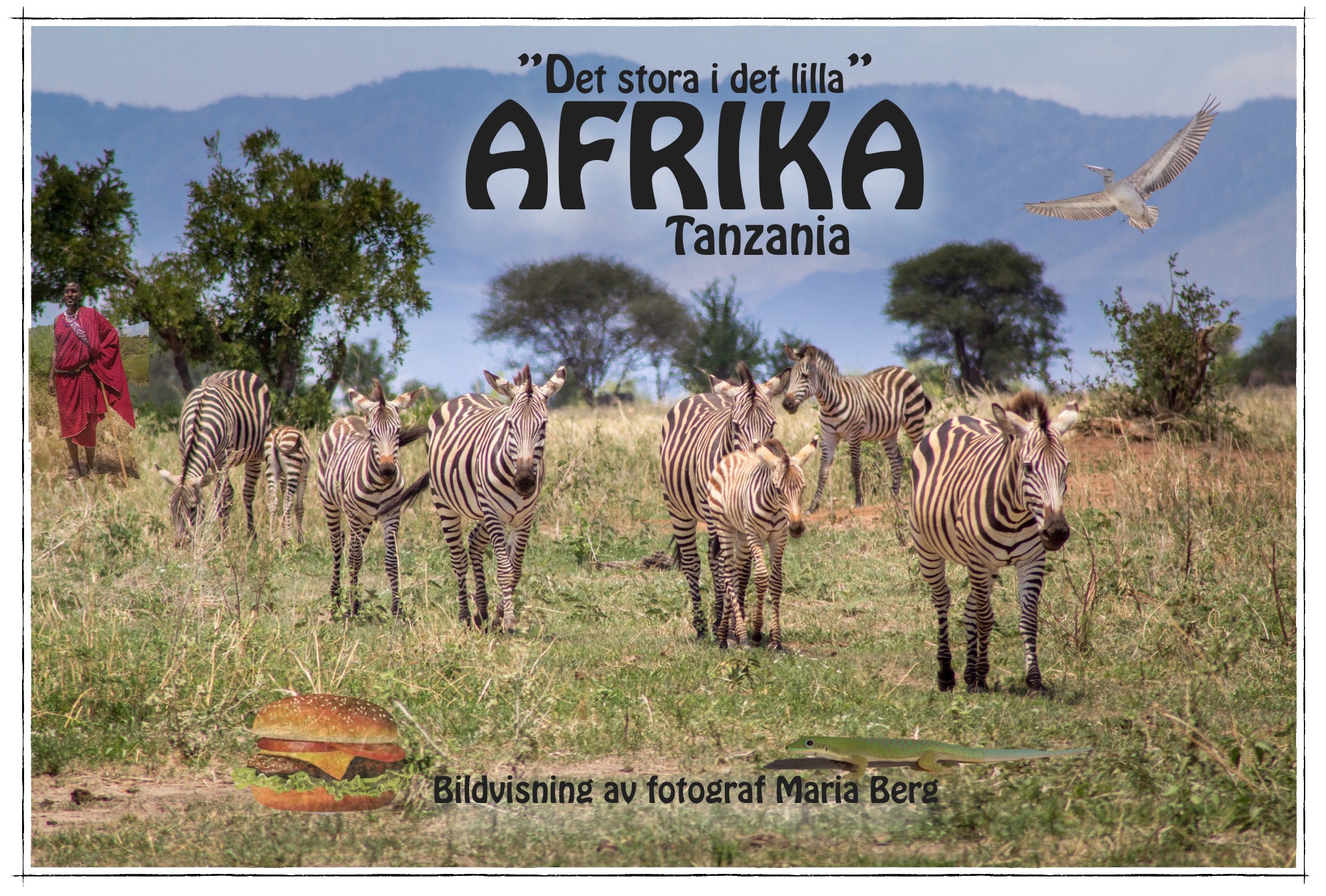 afrika-det-stora-i-det-lilla-bildvisning